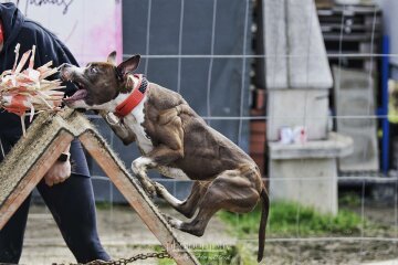 377965517_681768197163484_5670763379664181404_n